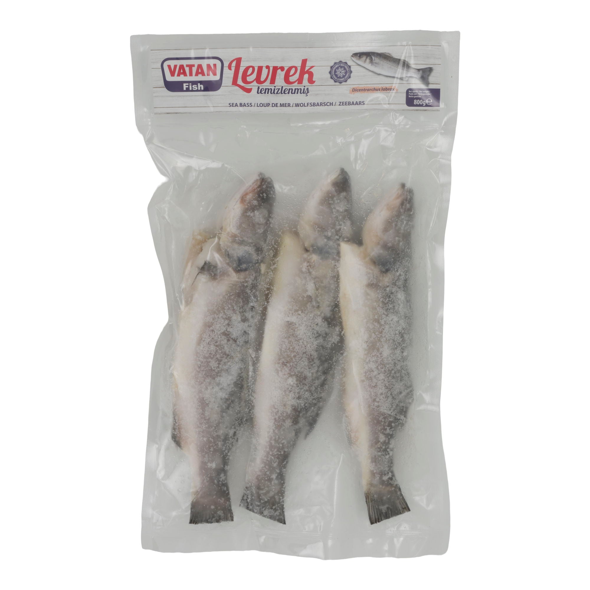 Fisch Vatan | Wolfsbarsch (Levrek) | Ausgenommen, ganz, tiefgefroren | 800 g VATAN
